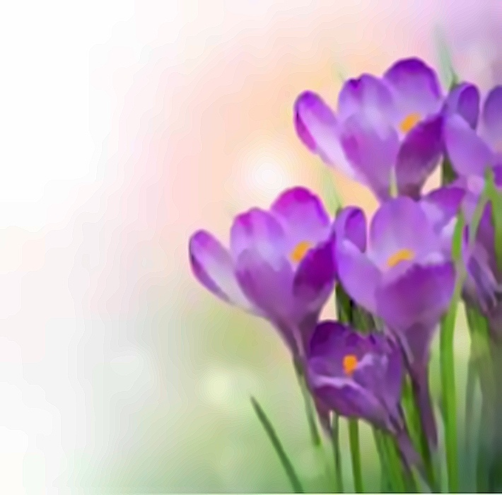 blog-img