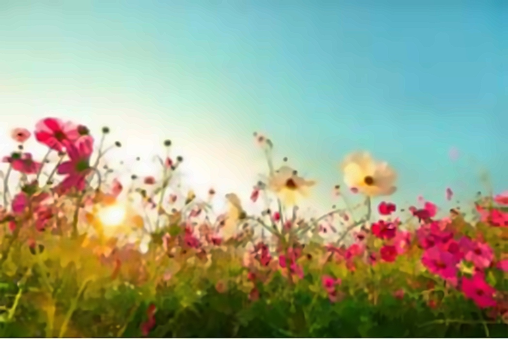 blog-img